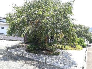 西方寺の参拝記録(さとみさん)