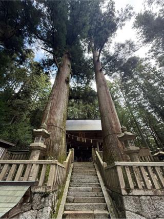 恵那神社の参拝記録(skさん)