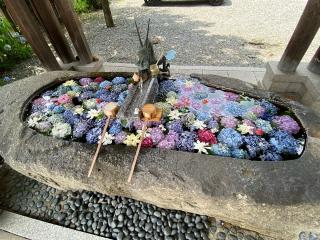 中津川 西宮神社の参拝記録(二代目無宿さん)