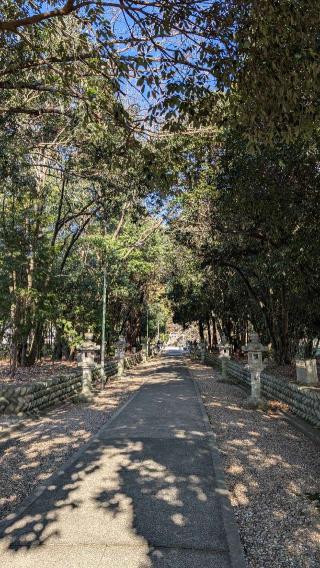 白山神社（大富白山神社）の参拝記録(まぁちゃんさん)