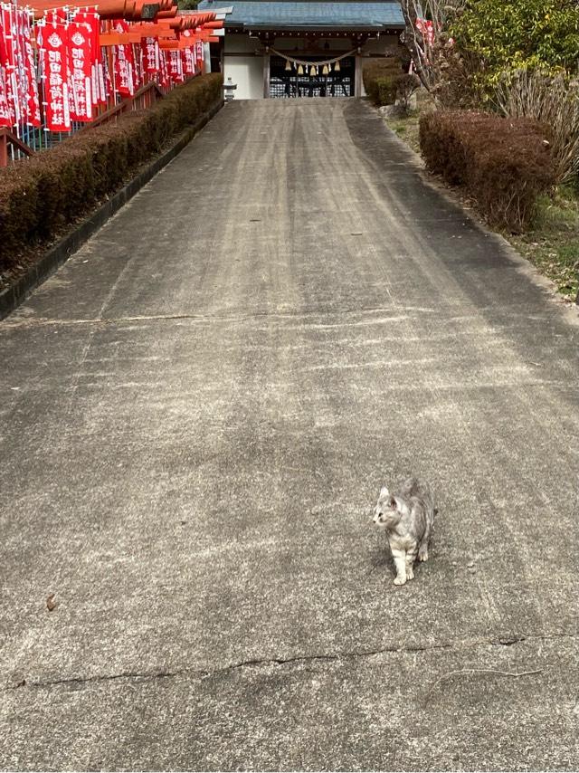 肥田稲荷神社の参拝記録1