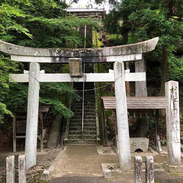 白鳥神社の参拝記録1