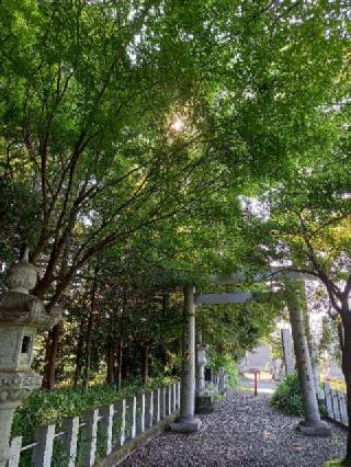 古井神社の参拝記録(みほみほさん)