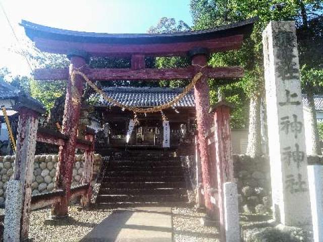 岐阜県美濃市笠神588･589番地 上神神社の写真1