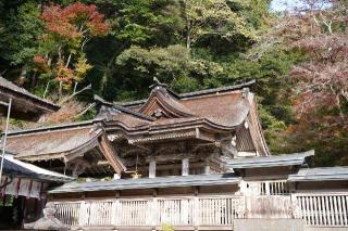 大矢田神社の参拝記録(のぶちゃんさん)