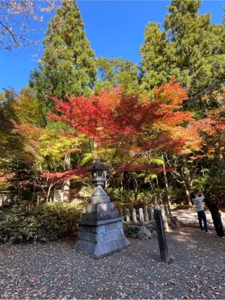 大矢田神社の参拝記録(あまぞんさん)