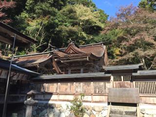 大矢田神社の参拝記録(一哲さん)
