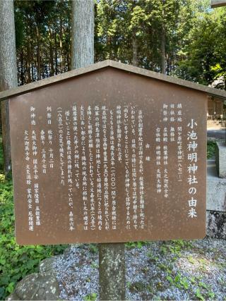 小池神明神社の参拝記録(二代目無宿さん)