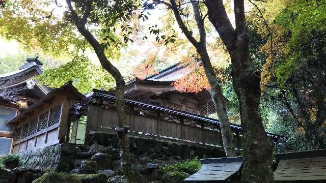 八幡神社(武芸八幡宮)の参拝記録1
