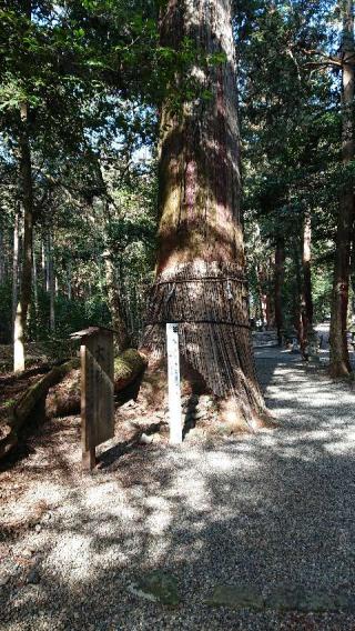 八幡神社(武芸八幡宮)の参拝記録(すたーくさん)