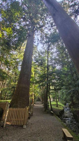 八幡神社(武芸八幡宮)の参拝記録(あにぃさん)