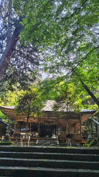 八幡神社(武芸八幡宮)の参拝記録(あにぃさん)