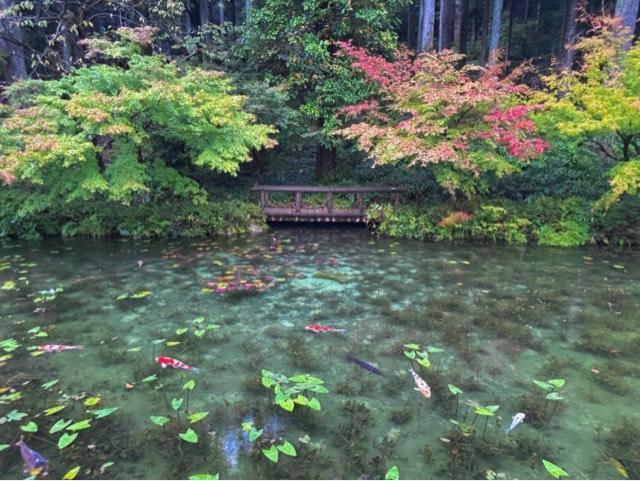 根道神社の参拝記録5