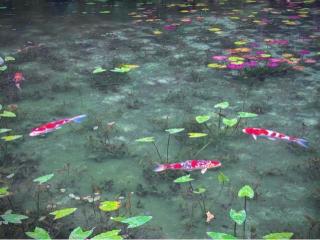 根道神社の参拝記録(忍さん)