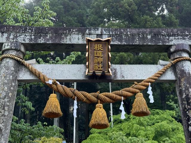 根道神社の参拝記録4