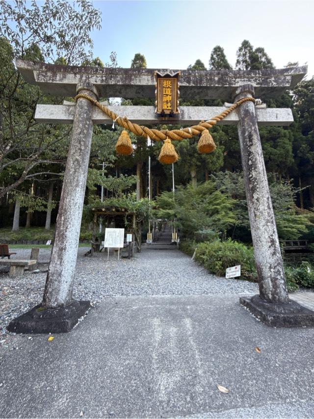 根道神社の参拝記録9