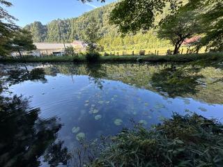 根道神社の参拝記録(コットンさん)