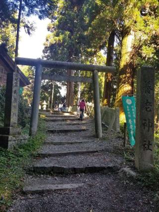 養老神社の参拝記録(ちぃさん)