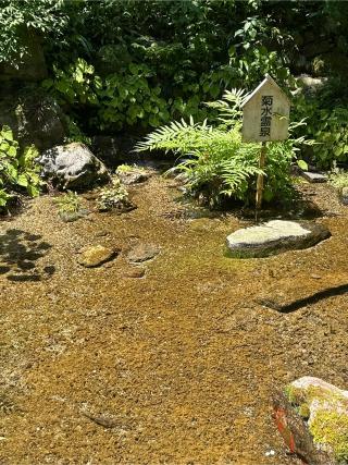 養老神社の参拝記録(skさん)