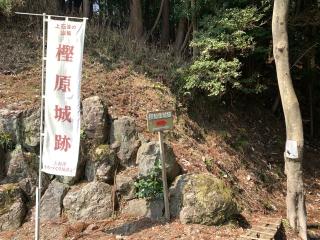 津島神社の参拝記録(くーさん)
