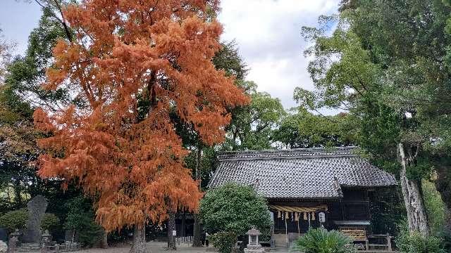 川津来宮神社(杉桙別命神社)の参拝記録3