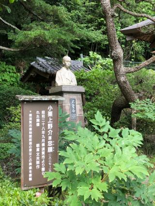 東善寺の参拝記録(ほーリンさん)