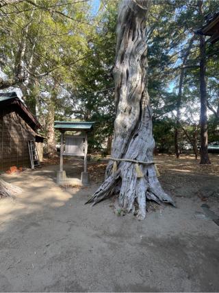 若宮神社の参拝記録(ハコさん)