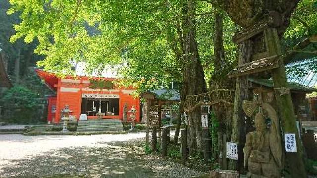 静岡県賀茂郡松崎町松崎28 伊那下神社の写真2
