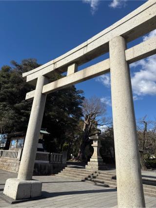 三嶋大社（伊豆国一宮）の参拝記録(⛩️🐍🐢まめ🐢🐍⛩️さん)