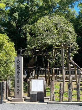 三嶋大社（伊豆国一宮）の参拝記録(ヒデさん)