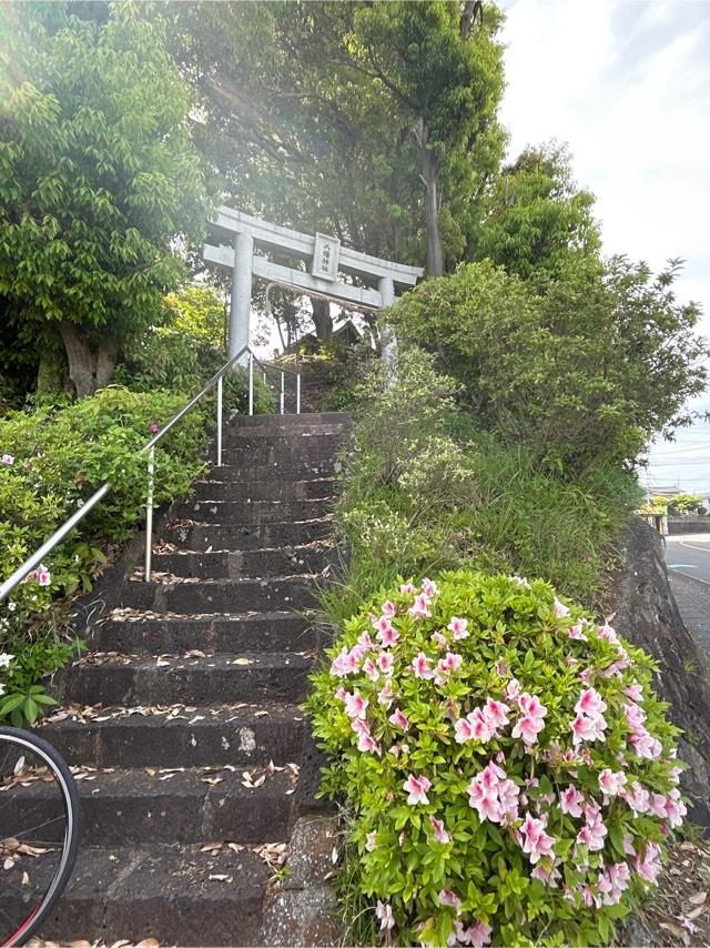 静岡県三島市壱町田75 八幡神社の写真1