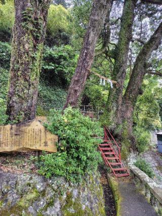 土肥神社の参拝記録(zx14rさん)