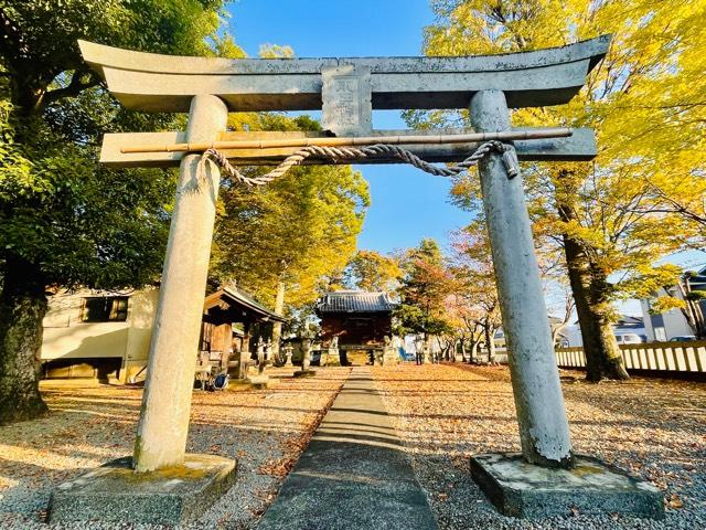 肥田神社の写真1