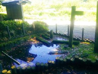 火雷神社の参拝記録(みどりさん)