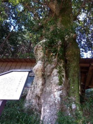 火雷神社の参拝記録(てらっちさん)