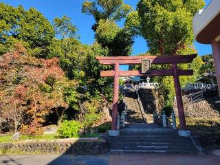大仁神社の参拝記録(まっきーさん)