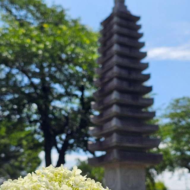 円福寺の参拝記録3