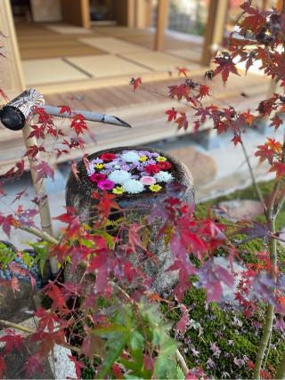 大聖護国寺の参拝記録(しゅんきちさん)