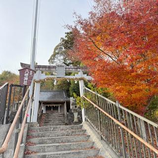 横瀬八幡神社の参拝記録(seeker of Japanese shrinesさん)