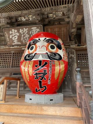 少林山 鳳台院 達磨寺の参拝記録(Lippyさん)