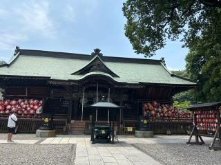 少林山 鳳台院 達磨寺の参拝記録(ころんころんさん)