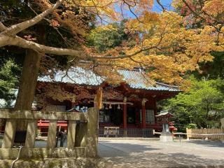 伊豆山神社の参拝記録(もちゃさん)