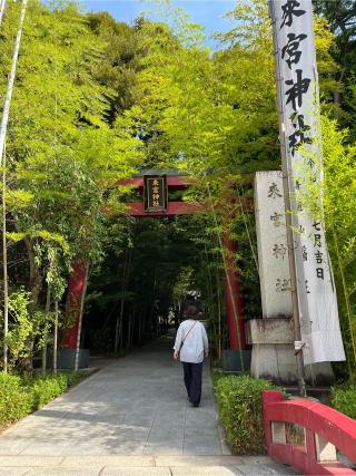 來宮神社（熱海來宮神社）の参拝記録(ヒデさん)