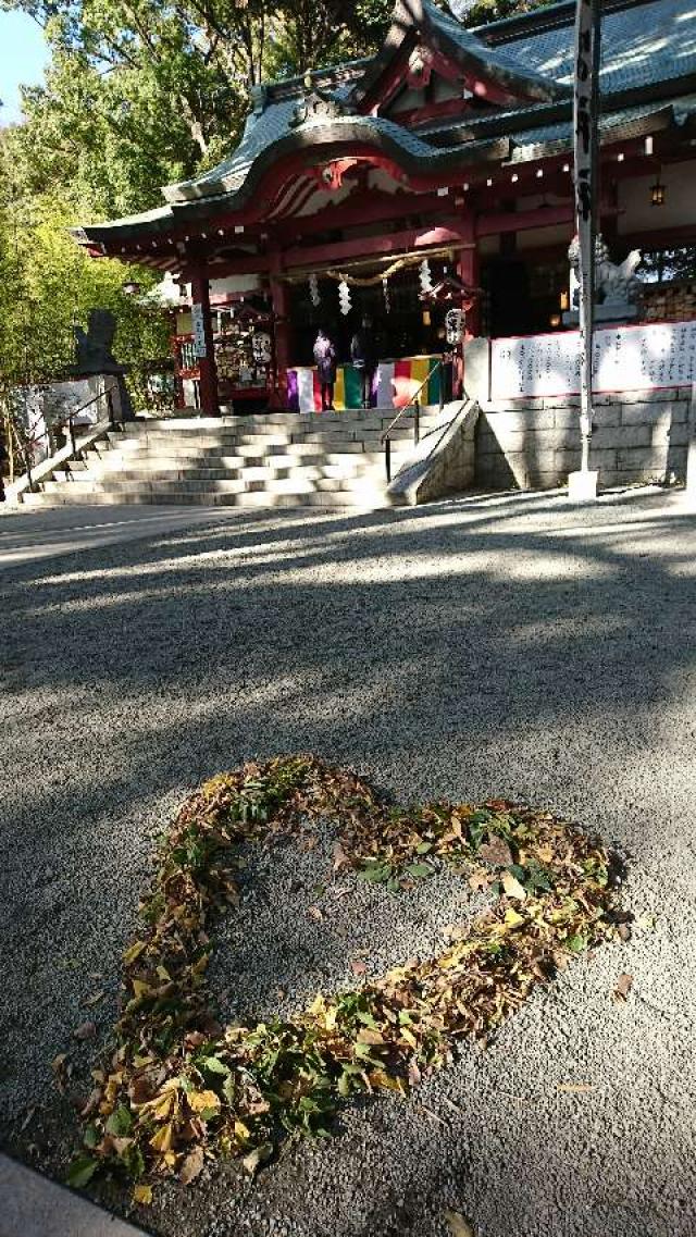 来宮神社（熱海来宮神社）の参拝記録8