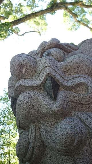 来宮神社（熱海来宮神社）の参拝記録(Sawacchiさん)