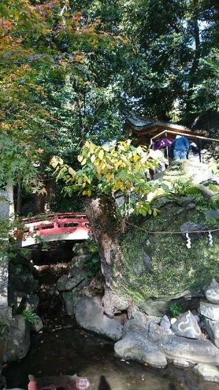 来宮神社（熱海来宮神社）の参拝記録(Sawacchiさん)