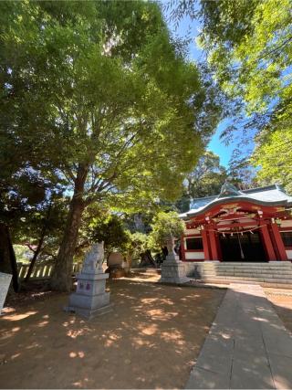 和田木神社の参拝記録(カズさん)
