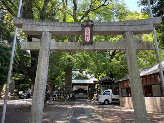 今宮神社（熱海今宮神社）の参拝記録(ハコさん)