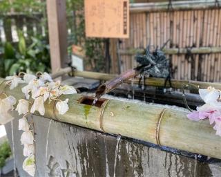 今宮神社（熱海今宮神社）の参拝記録(ハコさん)