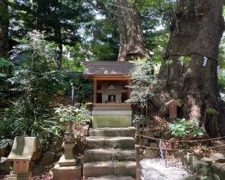 今宮神社（熱海今宮神社）の参拝記録(ハコさん)